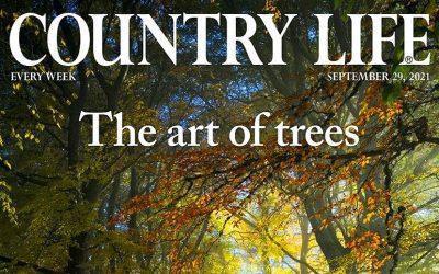 Country Life magazine – The art of Trees